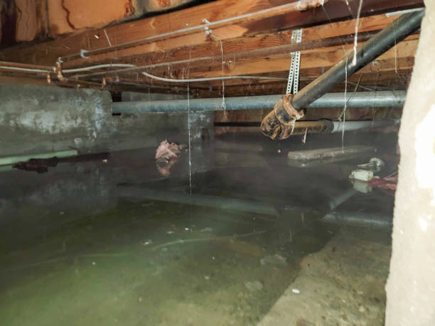Best Water damage restoration mold remediation  in North Sea, NY