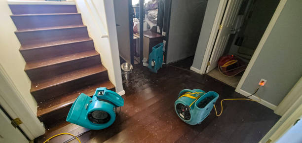 Best Carpet water damage restoration  in North Sea, NY