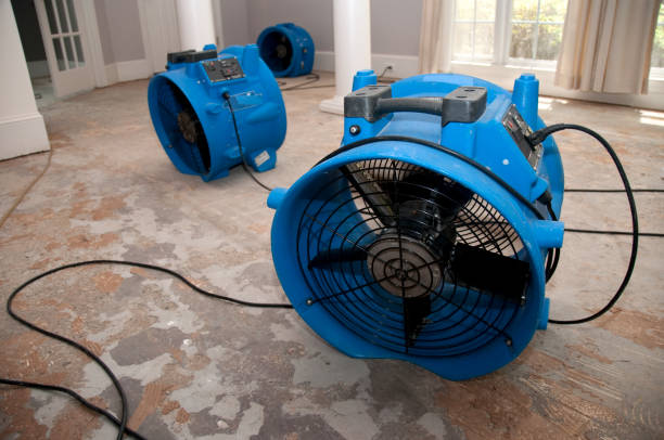 Best Sewage cleanup and water damage restoration  in North Sea, NY
