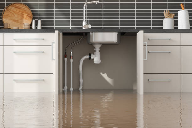 Best Flood damage cleanup  in North Sea, NY